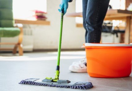 Domestic Cleaning