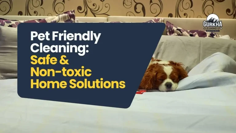 pet-friendly-cleaning
