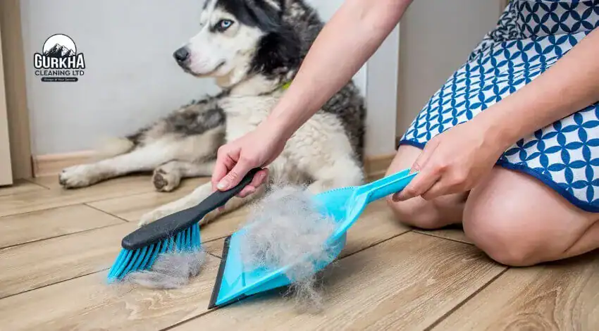 pet-friendly-cleaning