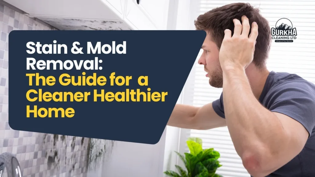 Stain and Mold Removal: The Guide for a Cleaner, Healthier Home