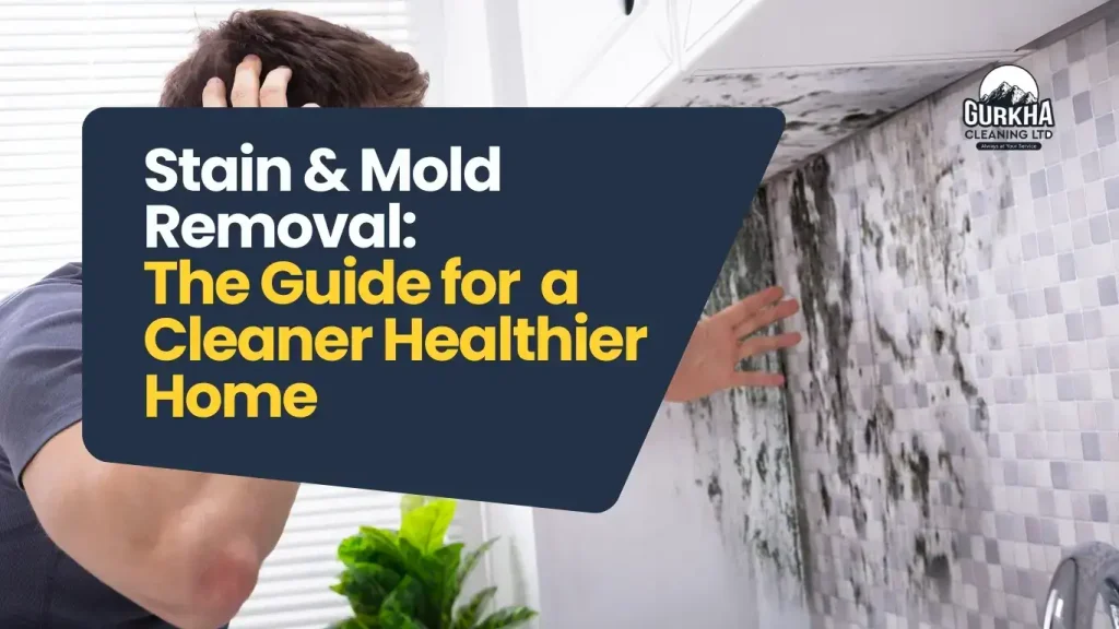 Stain and Mold Removal